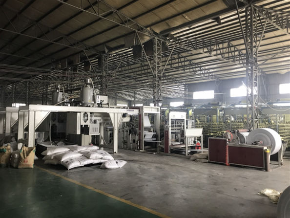 Yiyang Wanlin Weave Packing Co., Ltd. dây chuyền sản xuất nhà máy
